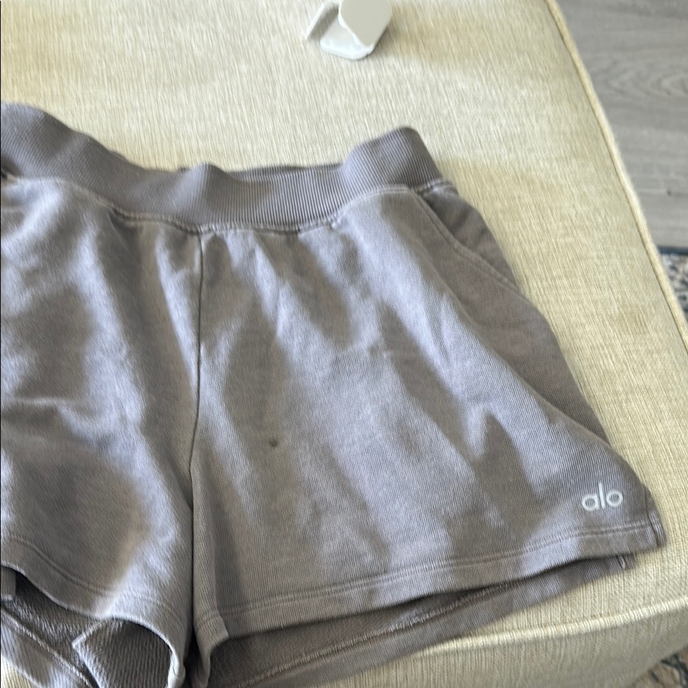 ALO Yoga Gray Athletic Shorts with Elastic Waistband
